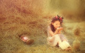 小小拍照技巧拍出好照片