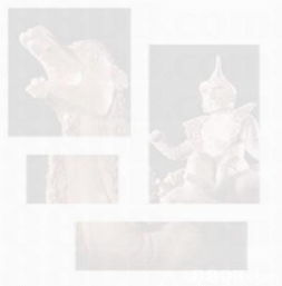 花藝初級班 如何避開攝影服務的干擾找到理想課程