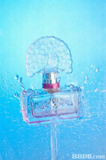 香港柴灣專業攝影服務全攻略