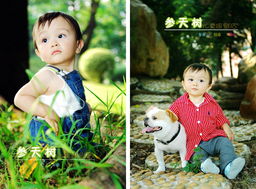 參天樹498元兒童攝影返利提醒 本單消費返利20元